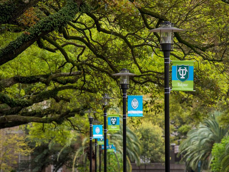 McAlister flags